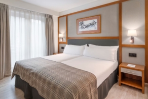 Standard Room (Vielha Baqueria Hotel)