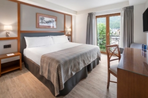 Standard Room (Vielha Baqueria Hotel)