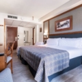Standard Room w. Extra Bed (Vielha Baqueria Hotel)