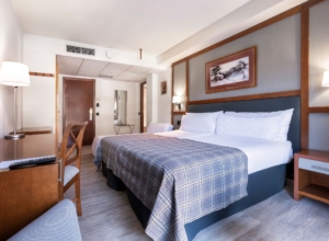 Standard Room w. Extra Bed (Vielha Baqueria Hotel)